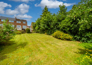 REAR GARDEN- click for photo gallery